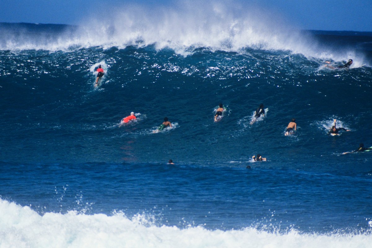 Paddle-out collective surfers Corralejo