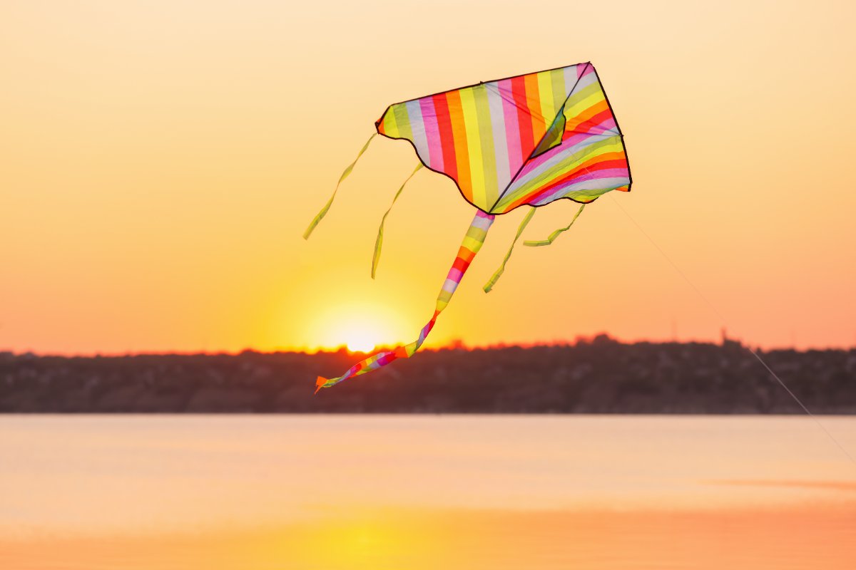 Cometas Fuerteventura traditional kite