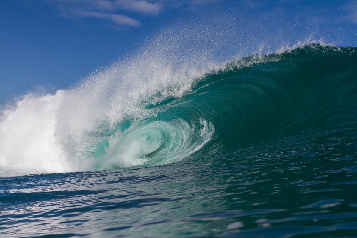 Generoso Bubble Suicides surf North Shore