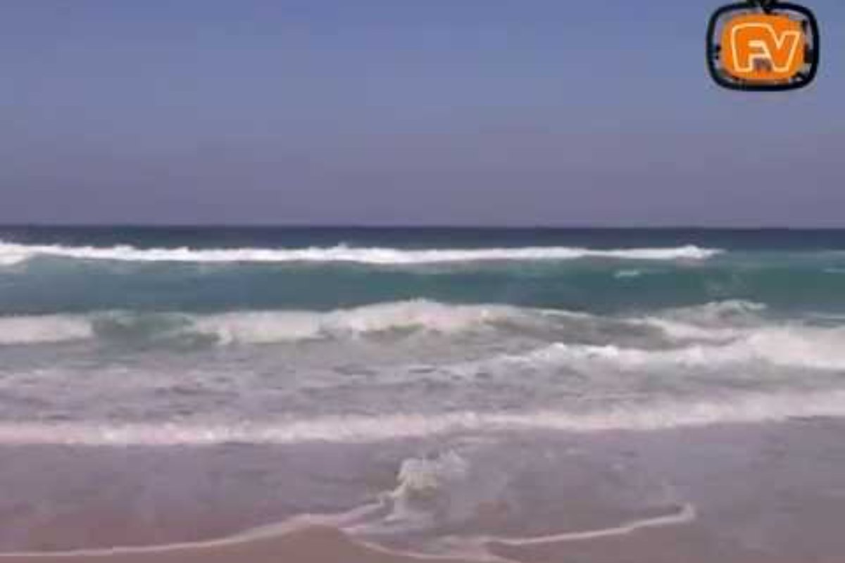 Caribbean style beach east coast Fuerteventura